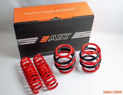 Tesla Model 3 2018+ Lowering Springs 20mm - AST ASTLS-21-168