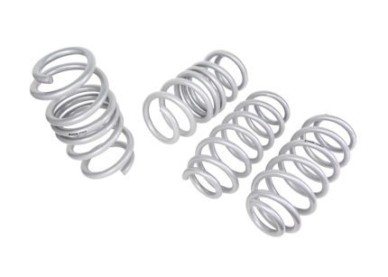Tesla Model 3 2017-2026 Lowering Springs - Whiteline WSK-TES002