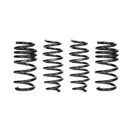 Eibach Pro-Kit for 2017-2019 Tesla Model 3 Long Range (AWD)