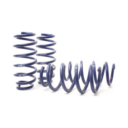 H&R Performance Sport Springs For 2018-2022 Tesla Model 3 Long Range (AWD) (Non Air Susp.)